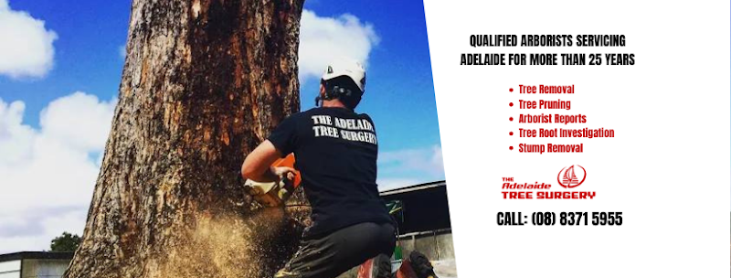 The Adelaide Tree Surgery in Black Forest