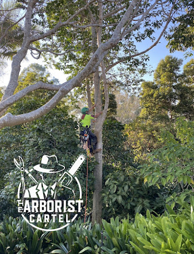 The Arborist Cartel in Canberra