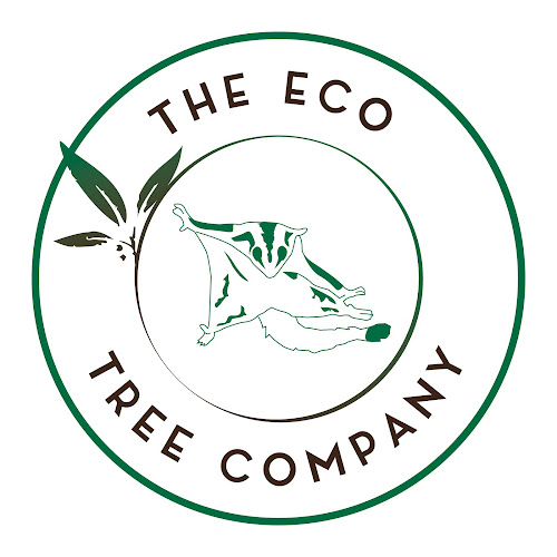 The Eco Tree Company in Ipswich