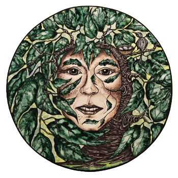 "The Green Man" Tree Services in Geraldton