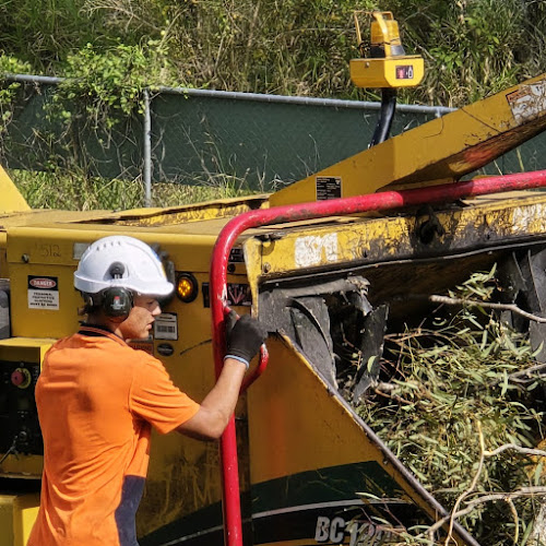 The Tree Construction Company in North Lakes