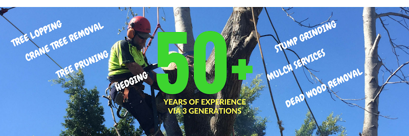 T.Mackney and Sons Tree Services in Blacktown