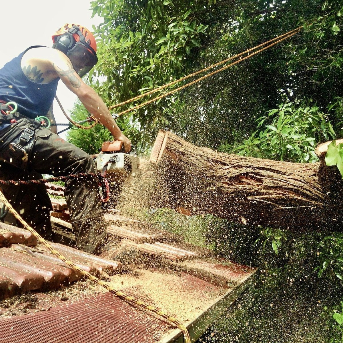 Total Tree Care Australia in Dandenong