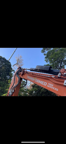 Transformed Tree Services in Ringwood