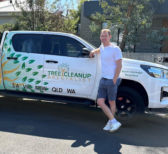 Tree Cleanup Specialist Pty Ltd in Murarrie