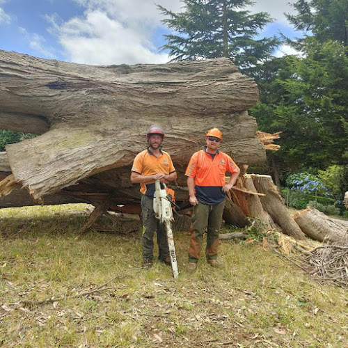 Tree Doctor Tasmania in Stony Rise