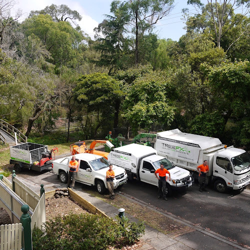 Tree FX Quality Tree Management in Boronia