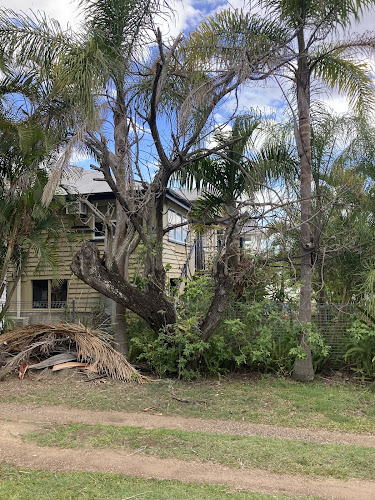 Tree Lopper Brisbane in Newmarket
