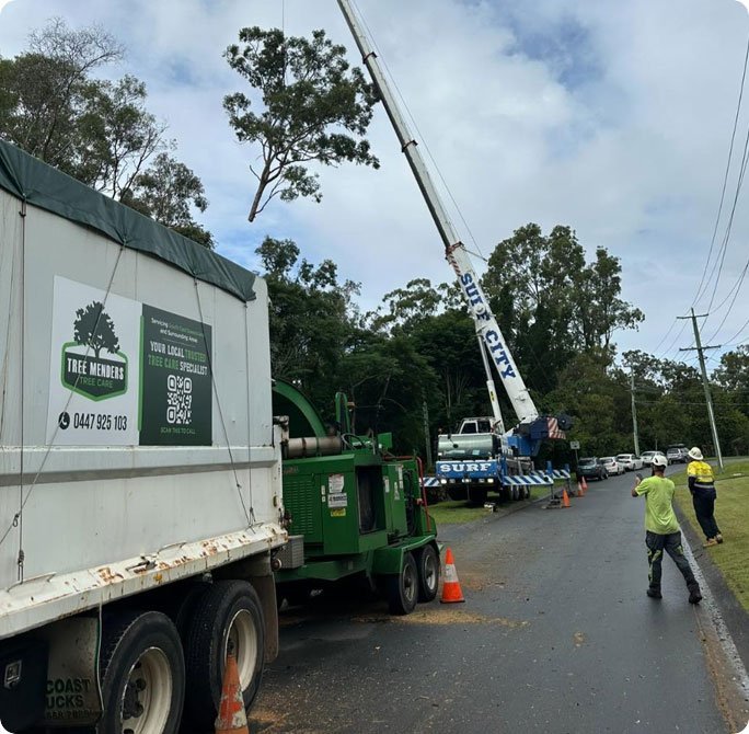 Tree Menders Tree Care in Gold Coast