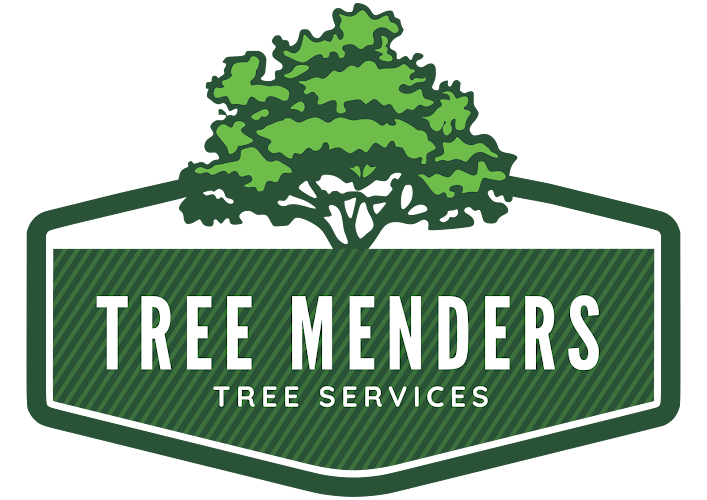 Tree Menders Tree Services in Gold Coast