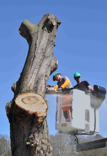 Treefelling.com.au in Sutherland