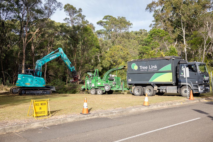 TreeLink South East Queensland in Broadbeach Waters