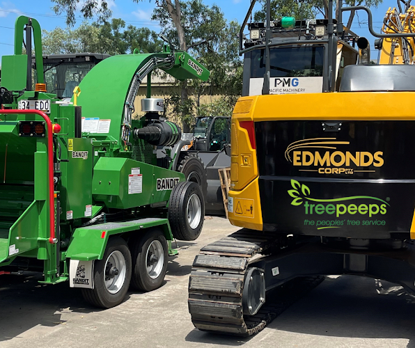 Treepeeps Tree Services Sydney in Liverpool