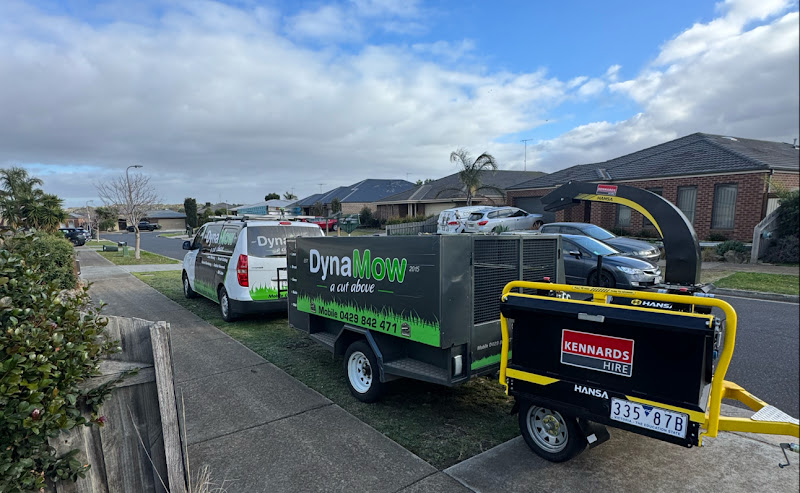 Trojan Trees - Tree Removal Services Geelong in South Geelong