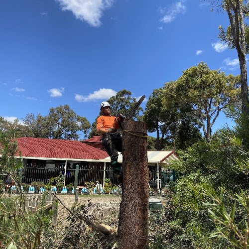 Trusted trees in Rockingham