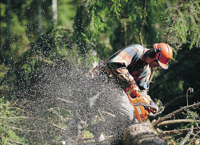 Upper Reach Tree Services in Parramatta