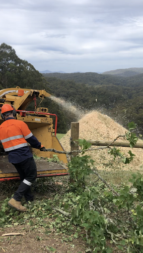Vantage Tree Services in Frankston