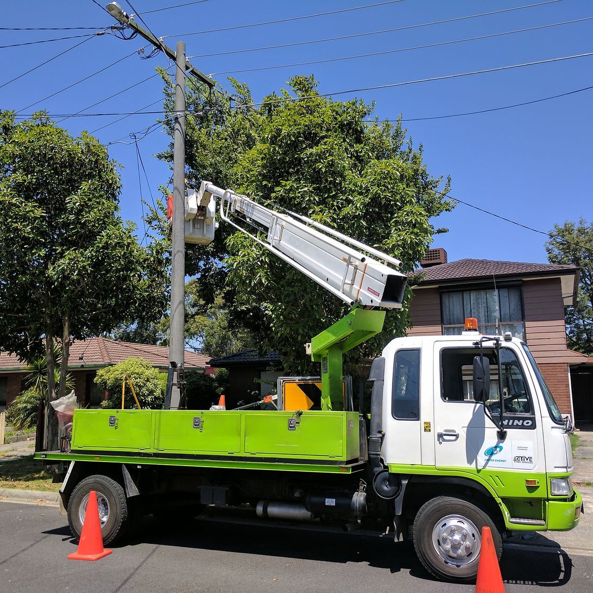 WA Regional Tree Services in Ascot