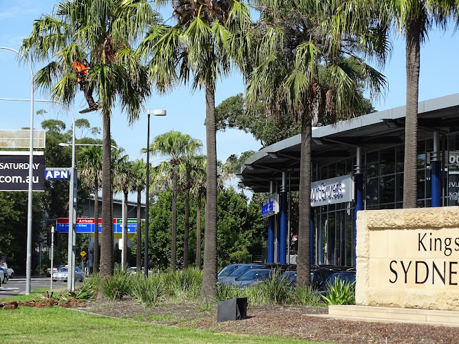 Waratah Tree Services in Parramatta