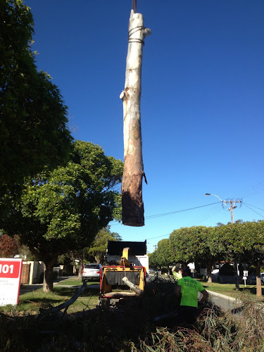 West Coast Arbor Services in Ascot